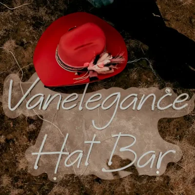 Vanelegance Hat Bar Party